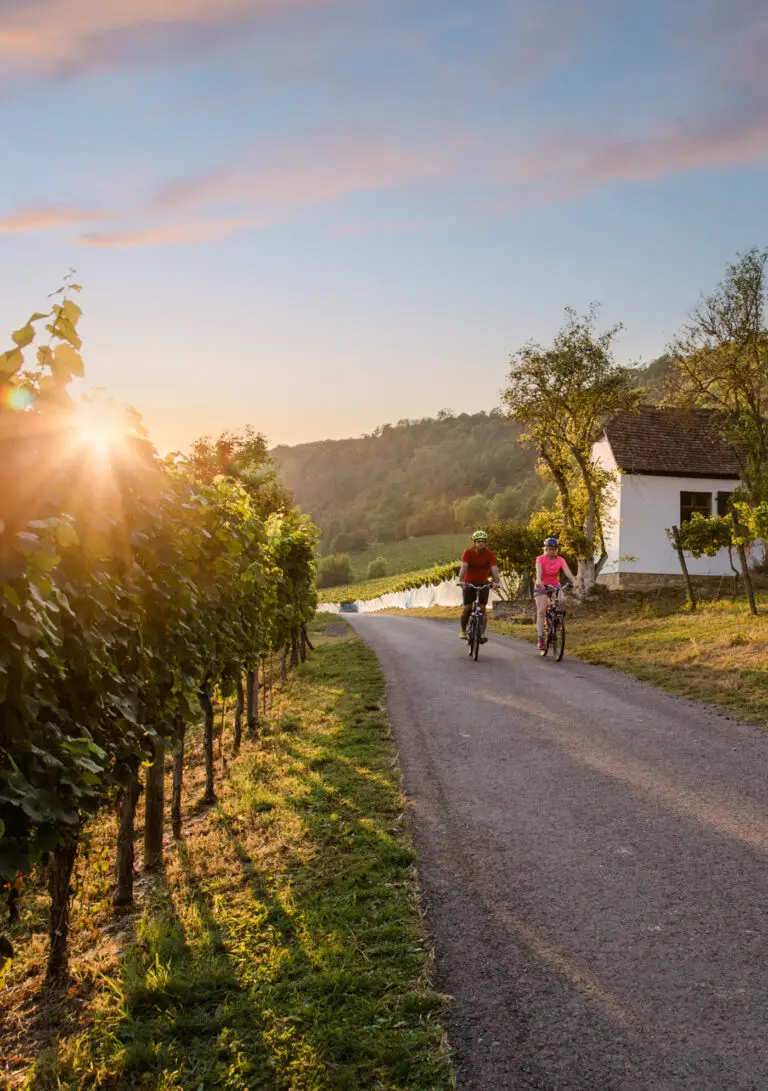 Man sieht ein Paar im abendlichen Sonnenlicht radfahren. Links im Bild, hinter den Weinreben, ist die Sonne im Begriff, unterzugehen, das ergibt ein schönes Schattenspiel auf der Erde. Rechter Hand sieht man ein typisches kleines Weinbergshäuschen im Anriß.