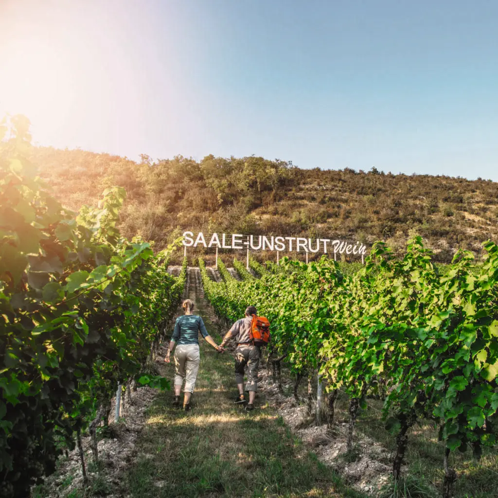 Wandern im Weinberg