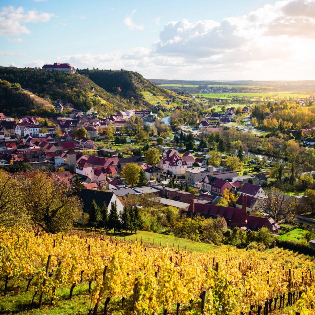 Freyburg, Germany: Autumn coloured vineyard at Saale-Unstrut with the city Freyburg.