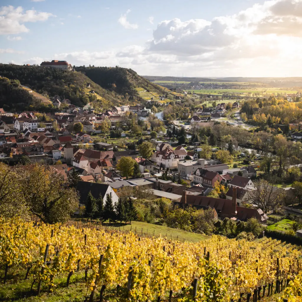 Freyburg, Germany: Autumn coloured vineyard at Saale-Unstrut with the city Freyburg.